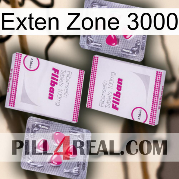 Exten Zone 3000 33.jpg